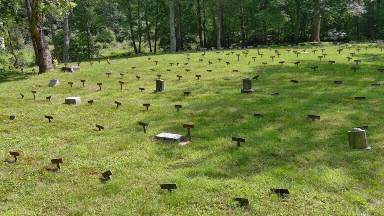 Graves at Old Letchworth Village Cemetery