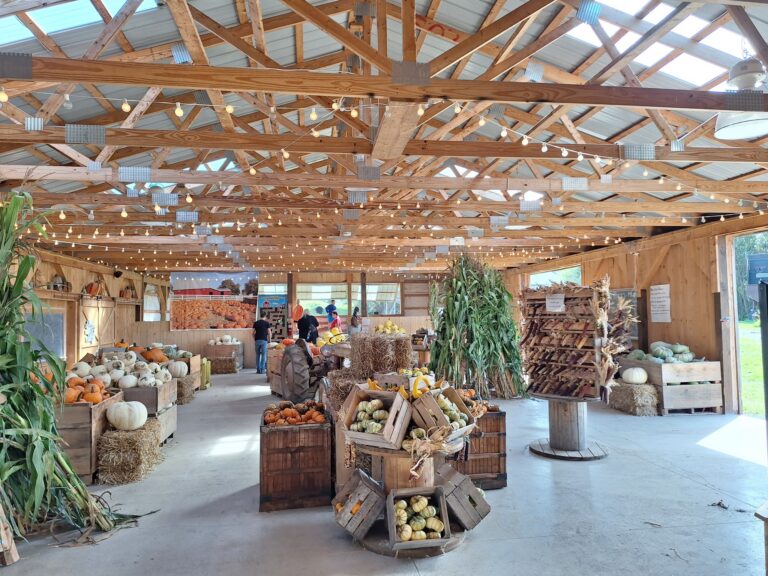 Springside Farm photo Springside Farm photo