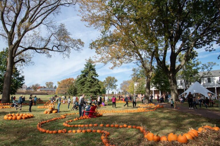 Pumpkin Point at Governors Island official photo or logo